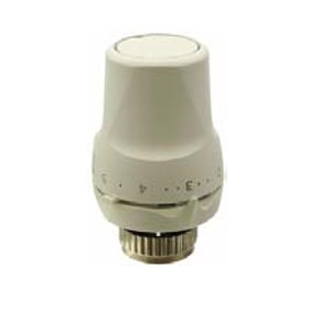 RTN51 SIEMENS TESTA TERMOSTATICA