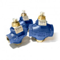 2TGA20B CONTROLLI Valvola a globo a due vie bilanciata